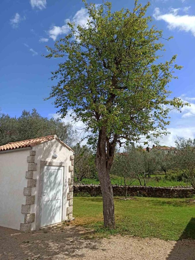 Holiday House Vela Vrta Sveti Ivan Dobrinjski Eksteriør bilde