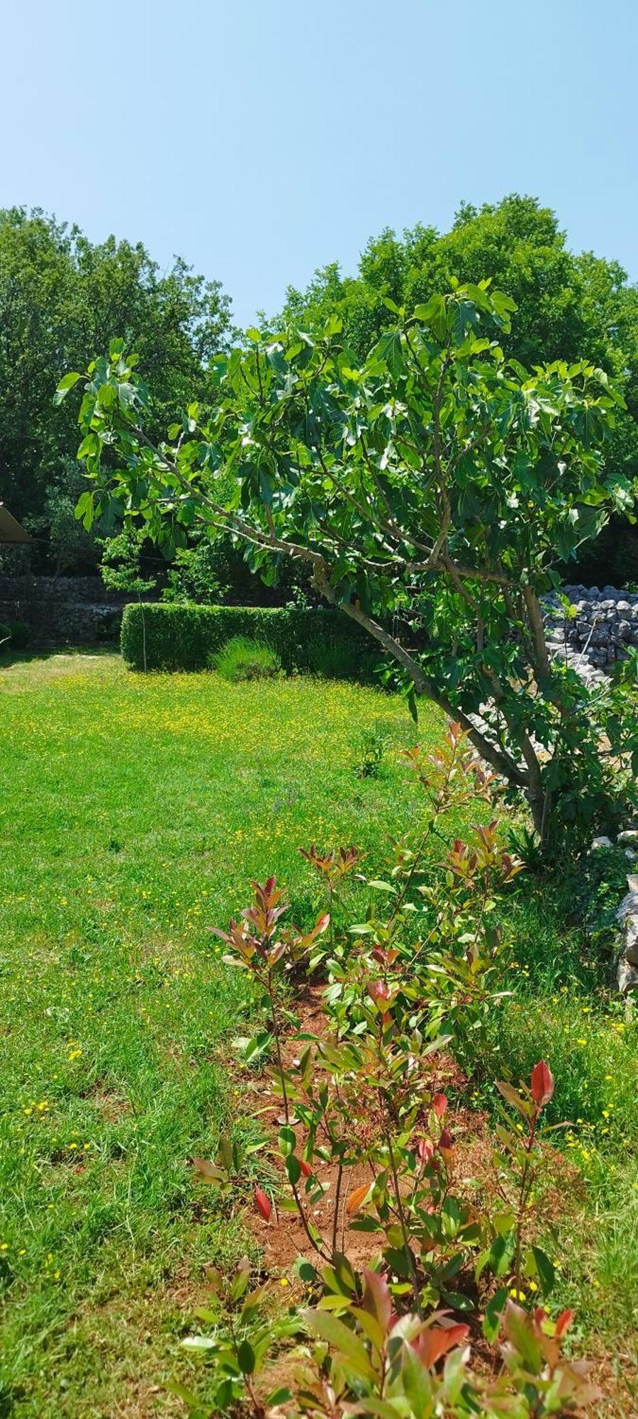 Holiday House Vela Vrta Sveti Ivan Dobrinjski Eksteriør bilde